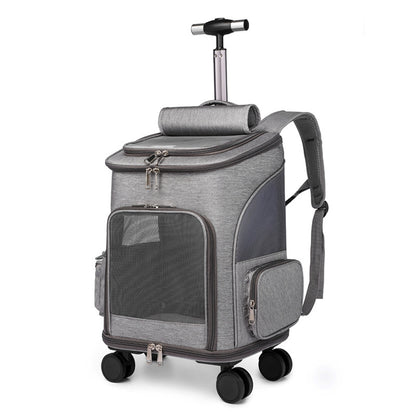 Trolley Backpack