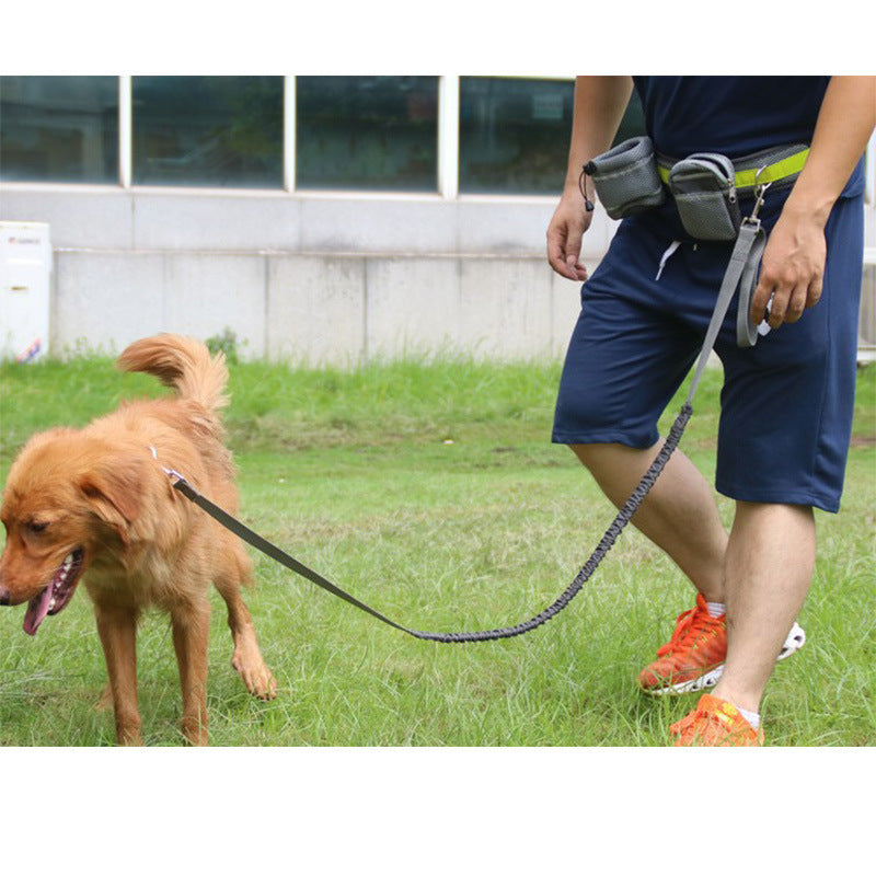 Hands-Free Dog Leash