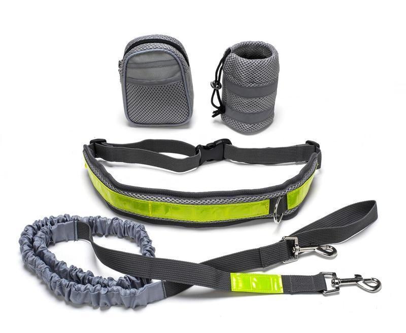 Hands-Free Dog Leash